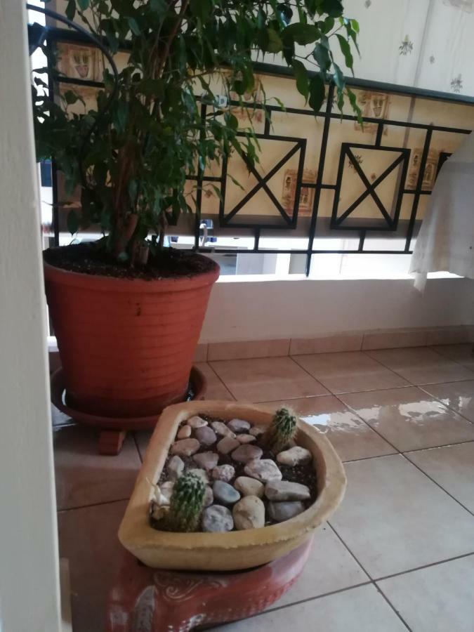 Quiet Spacious Apartment In 纳夫普利翁 外观 照片
