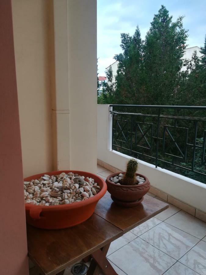 Quiet Spacious Apartment In 纳夫普利翁 外观 照片