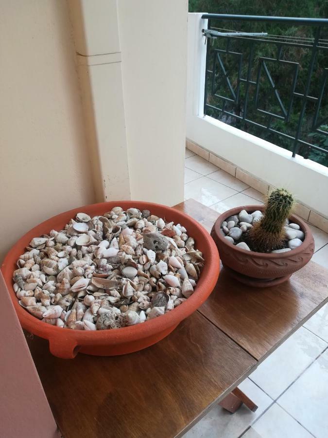Quiet Spacious Apartment In 纳夫普利翁 外观 照片