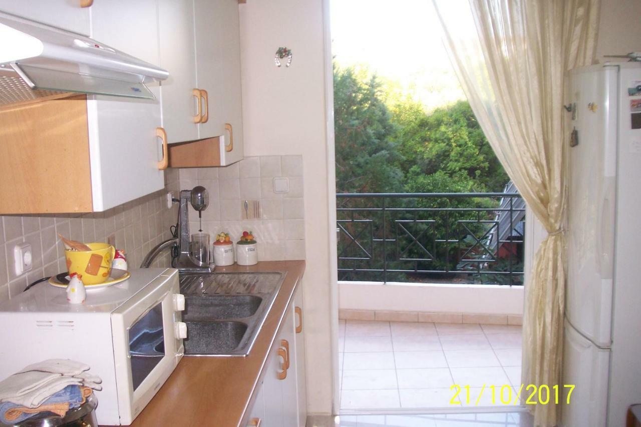 Quiet Spacious Apartment In 纳夫普利翁 外观 照片